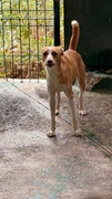 NATY Image 3
